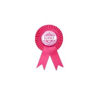 Lánybúcsús: Elkelt Parti Kitűző