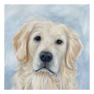 Arany retriever kutya festménye - Háztartási papírtermék