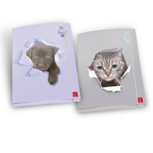 Pigna Hey There A/4 Gumis mappa kiskutya és macska mintával - Irattartó mappa