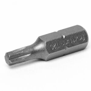 Egy darab Fortum TX20 Torx Bitfej - Fortum