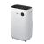Whirlpool DE20W5252 Dehumidifier, white, angled view