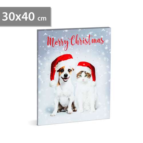 Karácsonyi LED-es hangulatkép - fali akasztóval, 2 x AA, 30 x 40 cm - kutya és cica 35048874