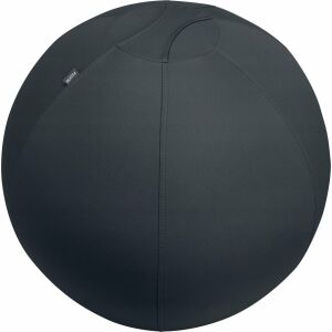 Leitz Active dunkelgrauer Sitzball mit Gewicht 75cm für Haltung und Linderung von Rückenschmerzen - Fitness-Bälle
