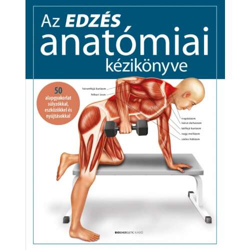 Az edzés anatómiai kézikönyve - 50 alapgyakorlat súlyzókkal, eszközökkel és nyújtásokkal 46277813