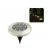 GardenLine 8 LED Solar-Bodenleuchte mit Gartenblick