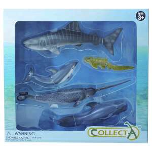 Collecta Lumea Aquatica 5 piece sea animal figure set, includes shark, dolphin, narwhal, and more - Figure