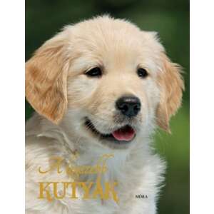 A legszebb kutyák - ismeretterjesztő könyv 92314276 