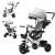 Pepita 360° rotatable tricycle with push handle, basket and horn, grey