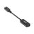 CLUB3D CAC-1088 kabel konwerter wideo 0,21 M DisplayPort HDMI Czarny (CAC-1088) 93389007