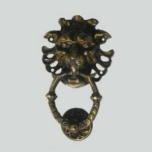 Antique lion door knocker, brass, decorative, ornate - Door