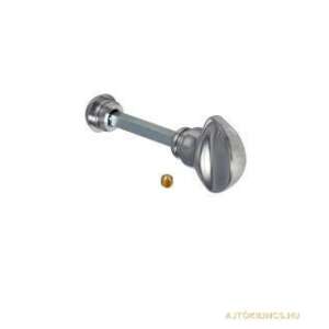 Chrome door handle - Door closer