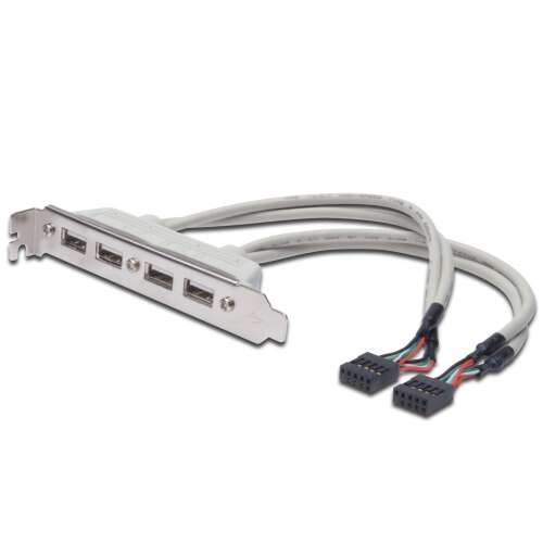 Cablu Assmann USB Slot Bracket cu 4 porturi USB 2.0 și conector IDC 2x10pin