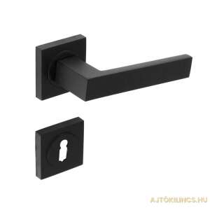 Matrix Black Line Square Rosette Door Handle, Black - Domino