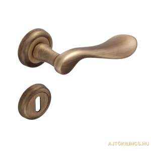 Mira Prémium Antik Brushed Finish Door Handle - Forme