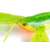Fox Rage Mega Craw puha csalik, 13cm, Green Pumpkin színben, közeli kép