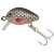 Kamasaki Bug wobbler horgászcsali, szürke fekete foltokkal, 2,5 cm