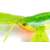 Fox Rage Mini Craw 8cm/3.1in UV Green Pumpkin puha műcsali közeli kép
