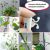 Self-adhesive Climbing Plant Fastener Clip 51205274