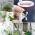 Collage of images showing white self-adhesive plant clips used to support climbing plants