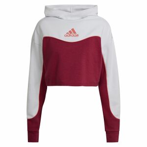 Adidas W CB HD Women's Colorblock Hoodie - Front View - Adidas Women's Sweater