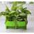 Plant Wall Panel, Vertical Planter 51242686