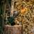 Fiskars X14 XS Camping-Axt auf einem Holzscheit mit einem Stapel Brennholz im Hintergrund