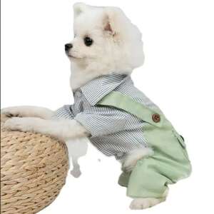 Haina tip salopeta Pufo Doggye pentru caini, verde/ alb, XL 93422676 Haine pentru câini