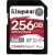 Close-up of Kingston Canvas React Plus 256GB SDXC UHS-II Memory Card