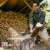Man using the Fiskars X28 M splitting axe to split a log