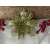 Set 10 ornamente pentru bradul de Craciun, stea Poinsettia, 16cm, galben auriu 93441710