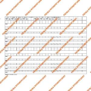 Csecsemő és kisgyermek nyilvántartó könyv, 60 lapos, A/3 fekvő, belső oldal - Patria