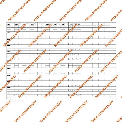 Csecsemő és kisgyermek nyilvántartó könyv, 60 lapos, A/3 fekvő, belső oldal