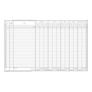 Számviteli Naplófőkönyv - Egyes Egyéb Szervezetek - 2024 136826196 - Üzleti nyomtatvány