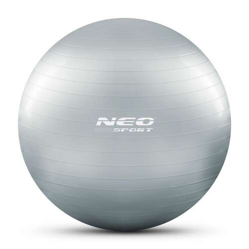 Neo Sport 65 cm ezüst gyakorló labda