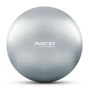 Neo Sport 65 cm silber Fitnessball - Fitness-Bälle