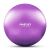 NeoSport Gym Fitness Ball with Pump, 65 cm - Purple 97400274
