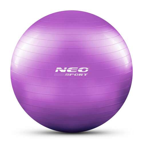 Purple 65cm Neo Sport exercise ball