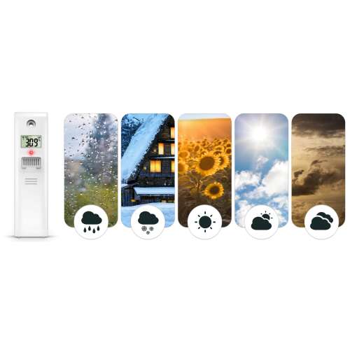 Berdsen Wireless Weather Station Sensor with Weather Condition Icons