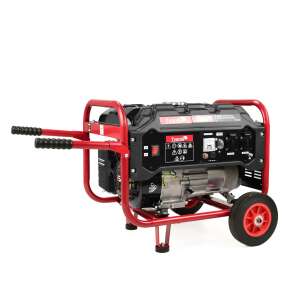 Tvardy T05000 2.2 kW single-phase petrol generator - Generator
