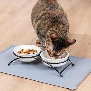 Cat eating from bowls on a non-slip pet food mat - Pet Care