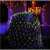 Colorful LED Net Lights on a bush, Outdoor Christmas Lights, Decorative Lights