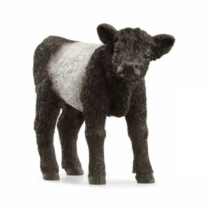 Schleich Galloway Calf Figurine - Realistic Animal Toy for Kids - Schleich