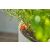Gardena Micro-Drip Balkon Öntözőrendszer - 15 Növény 93877906