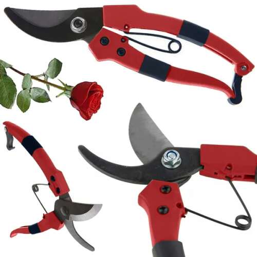 Red garden shears for pruning bushes and plants, with a rose in the background