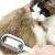 PetCare 3-in-1 Silicone Pet Brush for Cats and Dogs - Cat Grooming in Action