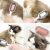 PetCare 3-in-1 Silicone Pet Brush for Cats and Dogs - Multiple Grooming Scenes