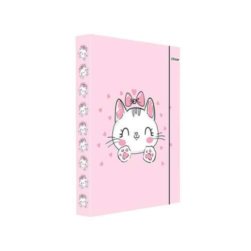Rózsaszín A/4-es füzetbox cuki cicás mintával, ideális iskolába vagy otthonra