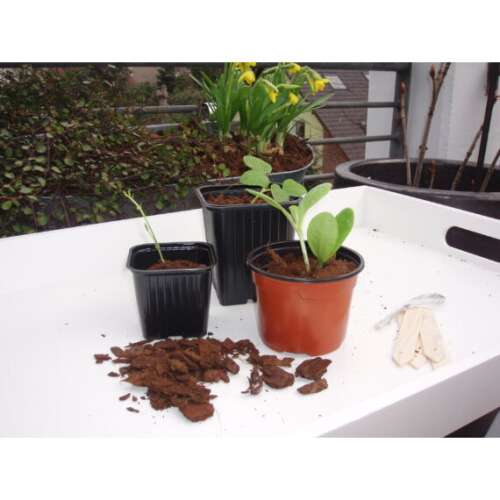 Set of 8 round plastic seedling pots, 7x9 cm, for planting flowers and vegetables