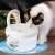 Cat drinking from ZEQAS automatic pet water fountain, 2 liter capacity, LED light, quiet operation, 3-layer filter, white