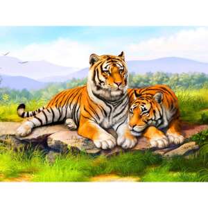 Two tigers lying on a rock in a forest, diamond painting kit - Diamond painting kit